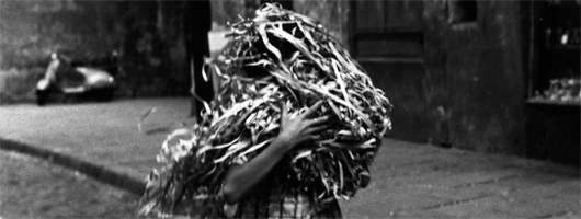 Humanos. Acciones, Historia y Fotografía